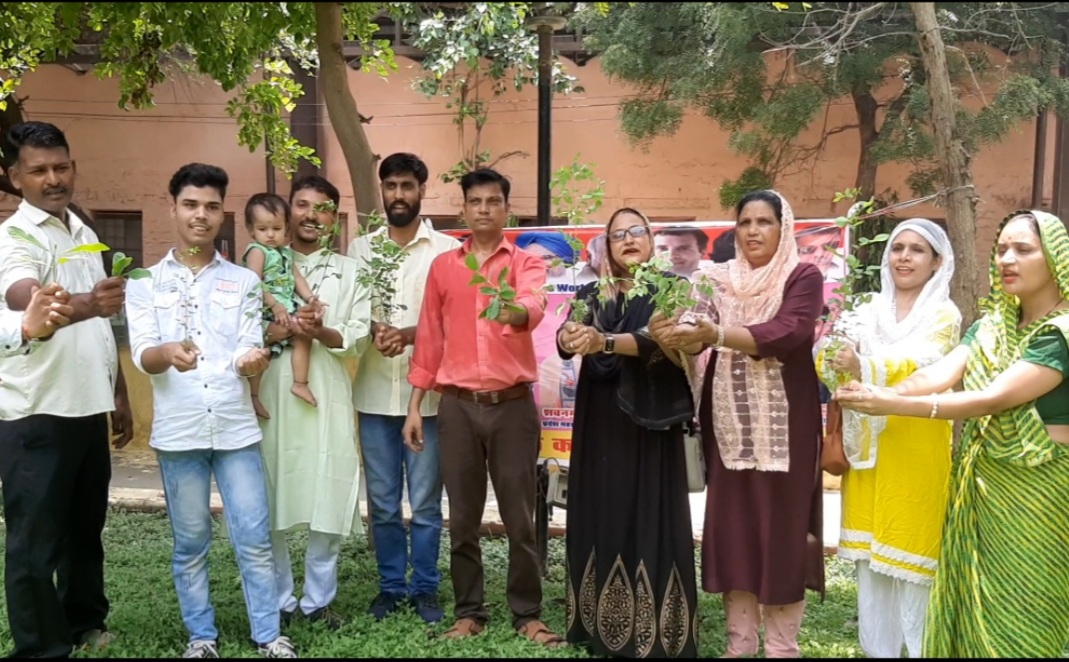 Congress Leaders Organize Tree Plantation Drive