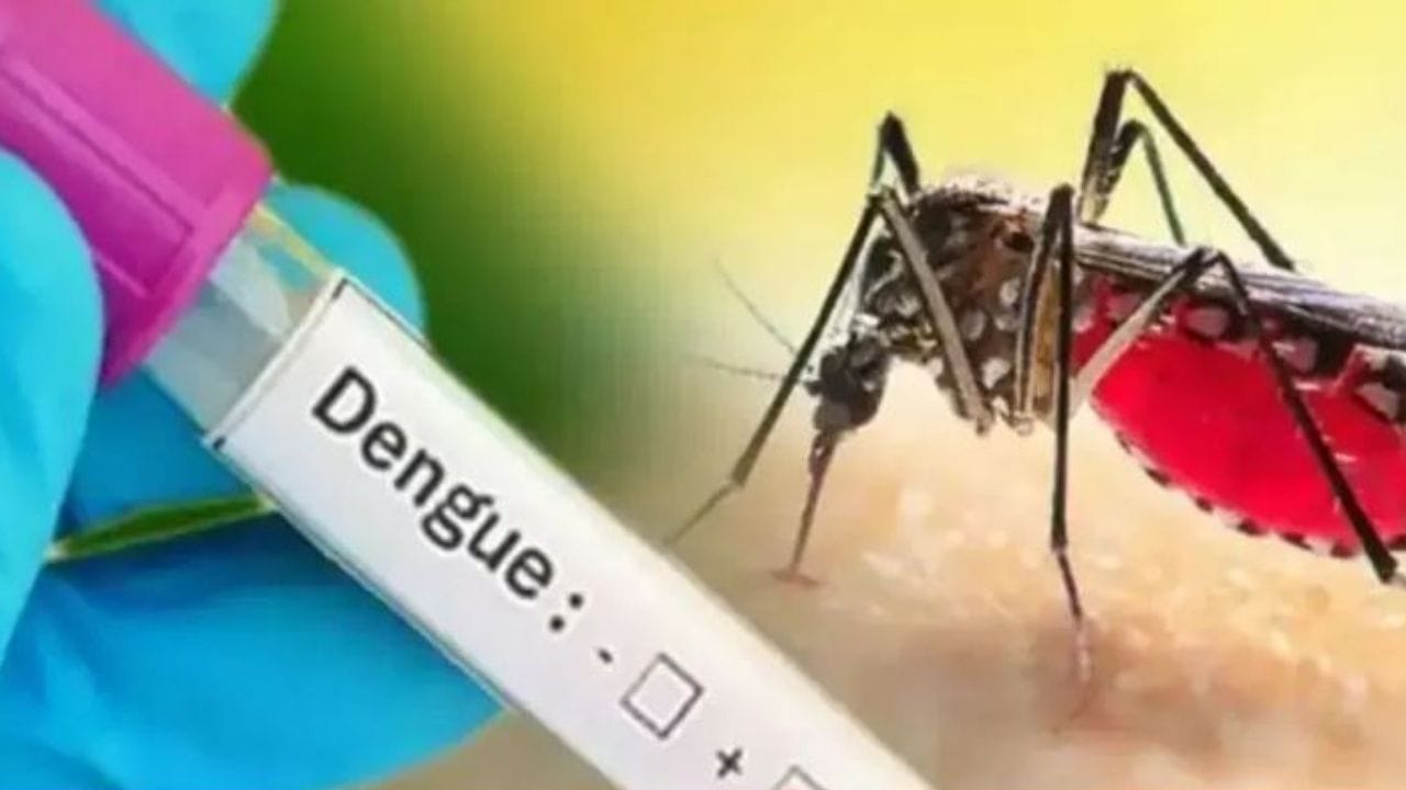 Is dengue the cause of thrombocytopenia? : Dr. Liyaqat Ali Mansury 