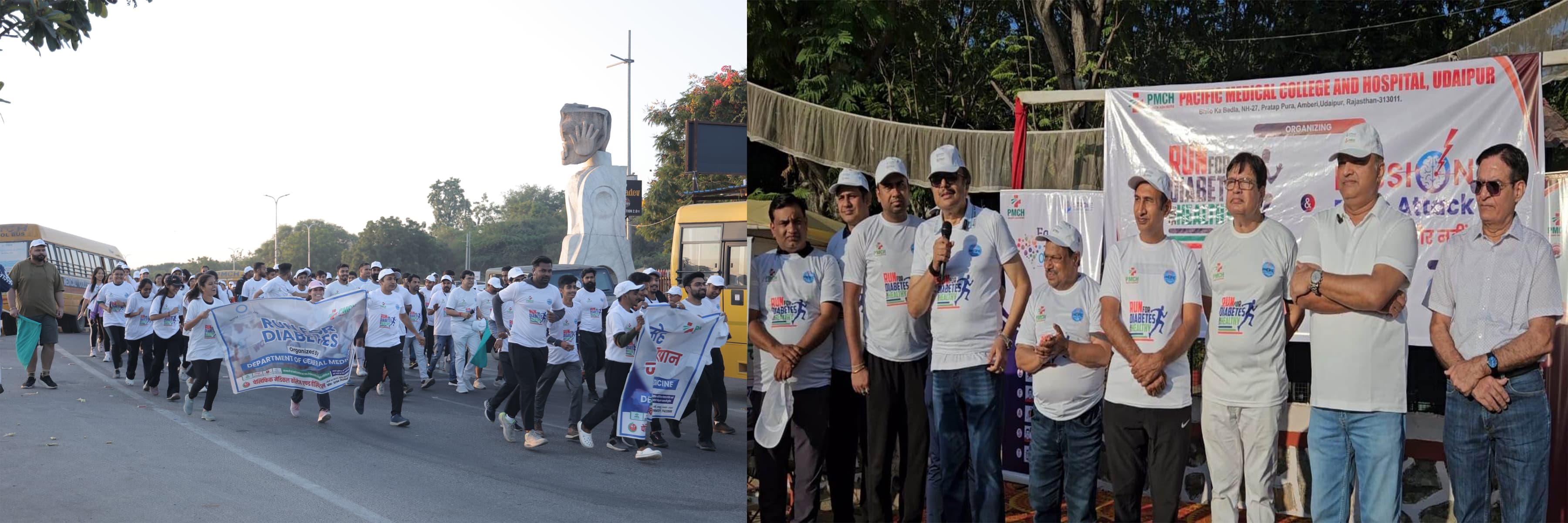 World Diabetes Day: A Walkathon to Promote Awareness on Prevention of Diabetes and Stroke*