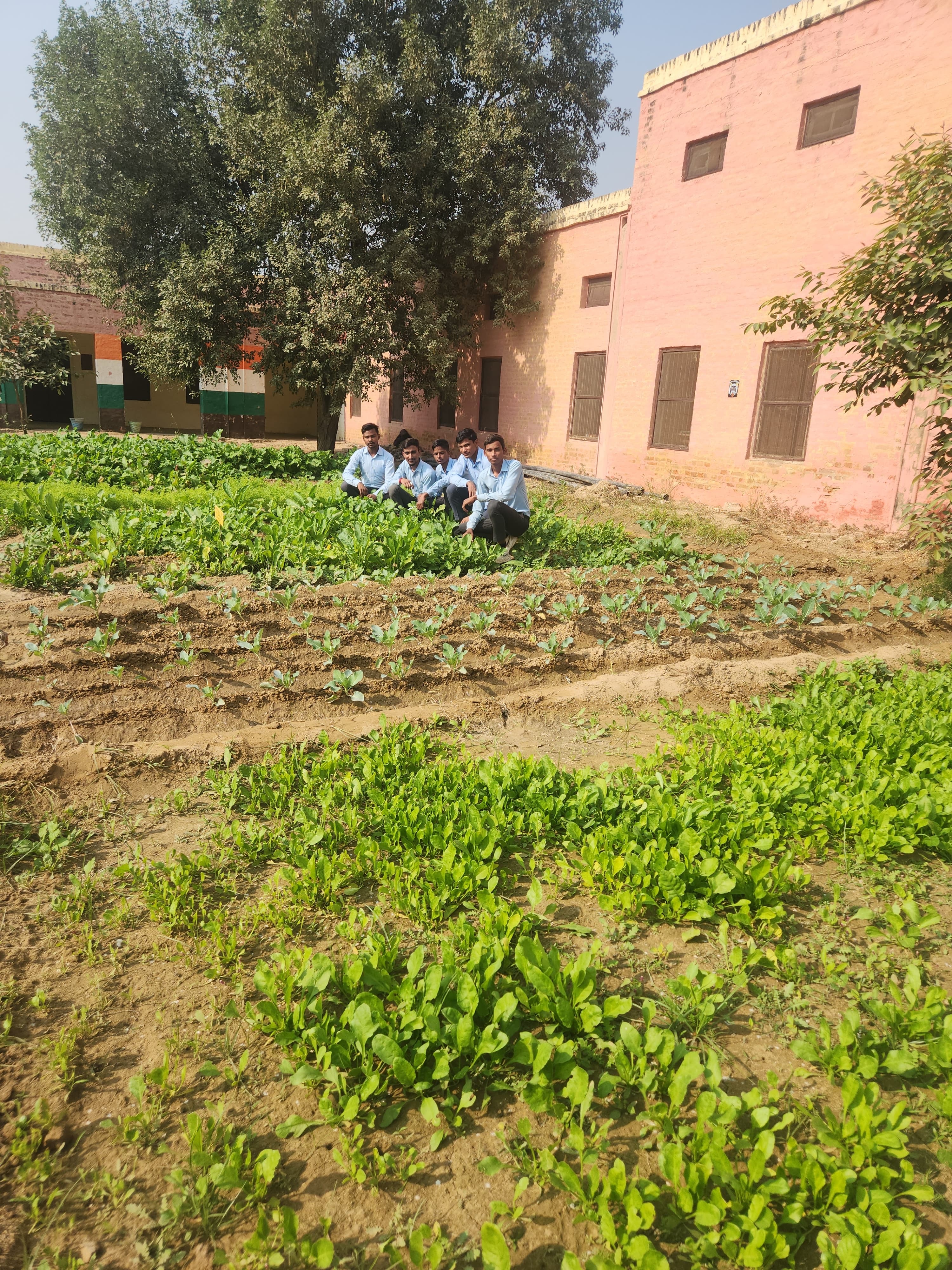 Pioneering Organic Farming at Government Senior Secondary School Muklava