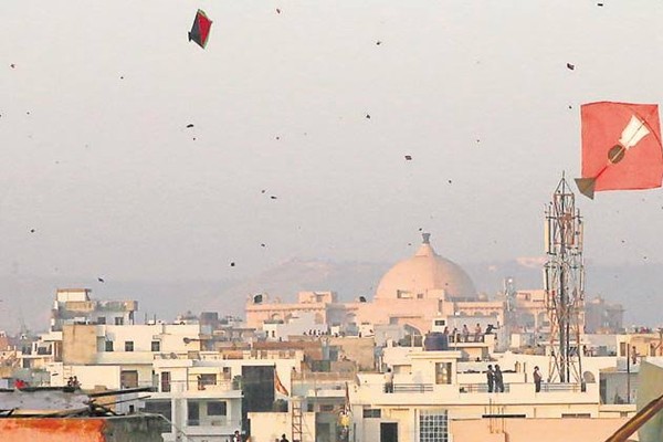 Jaipur's Kite Flying Matches Gujarat's Uttarayan