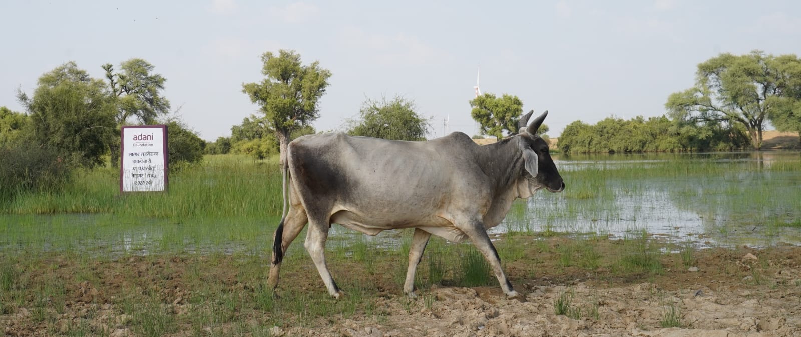 अदाणी फाउंडेशन जल संरक्षण में ला रहा बदलाव