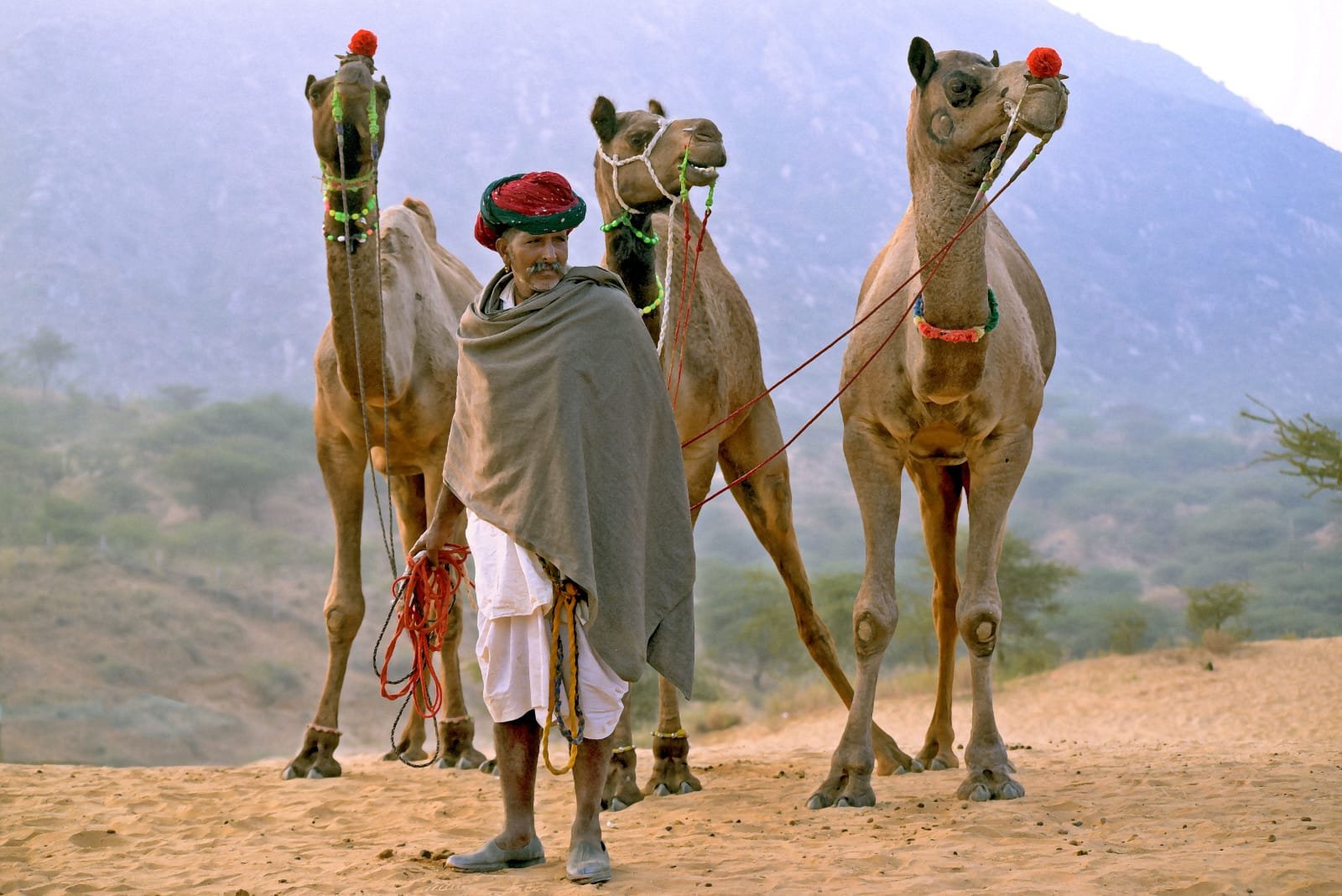 Devendra Shrimali Wins at Nazar Photo Exhibition