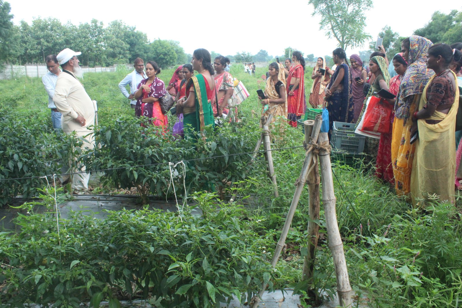 #### Krishi Sakhi Training on Natural Farming Concludes