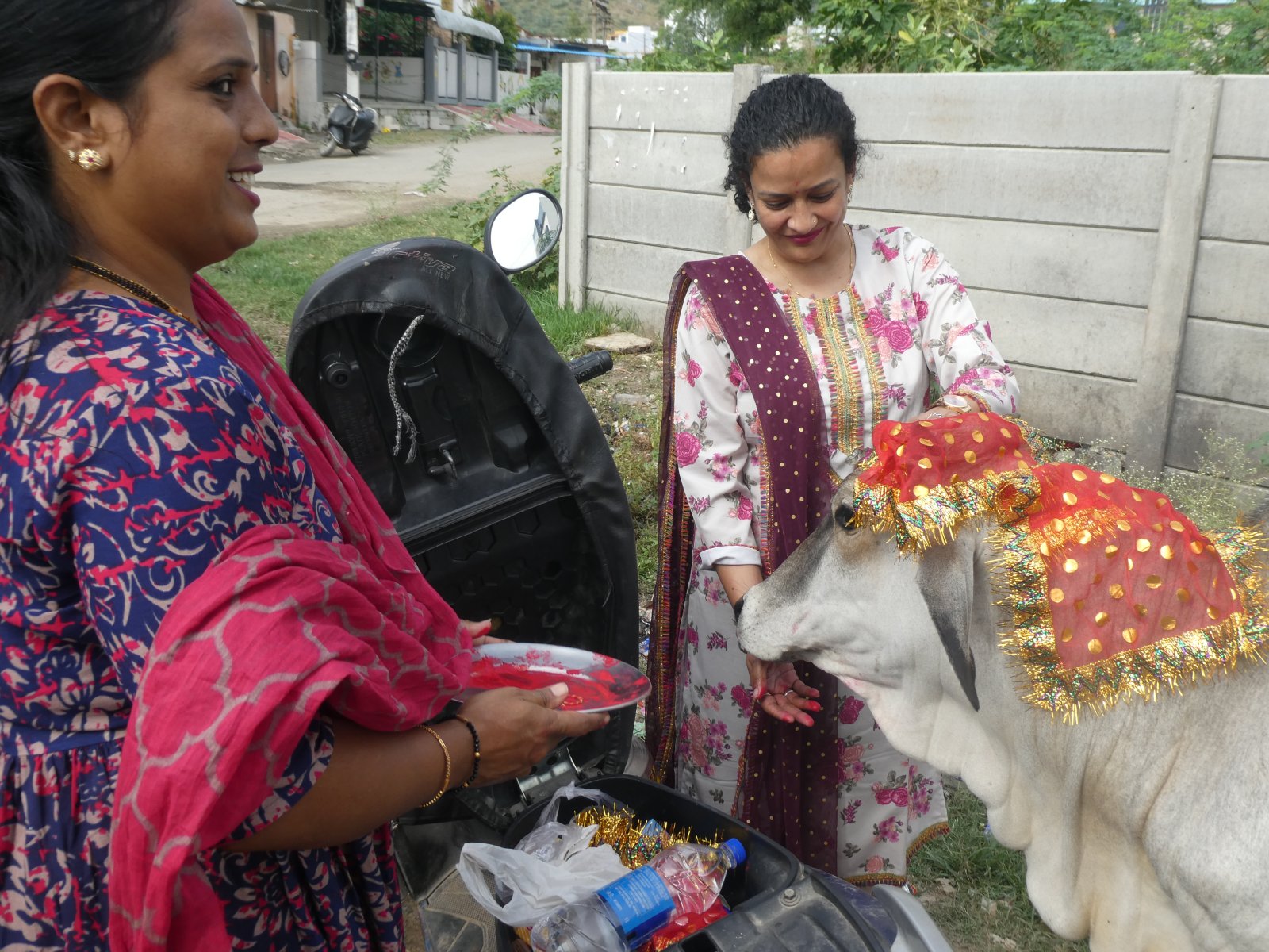 महानवमी के दिन एनिमल प्रोटेक्शन सोसाइटी द्वारा पशुओं की पूजा और भोज का आयोजन, दया और संवेदनशीलता का संदेश