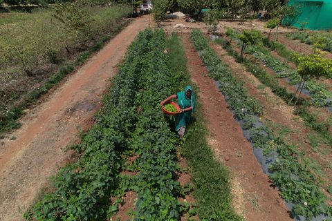 #### Hindustan Zinc’s Samadhan Transforms 35,000 Farmer Families Through Sustainable Farming