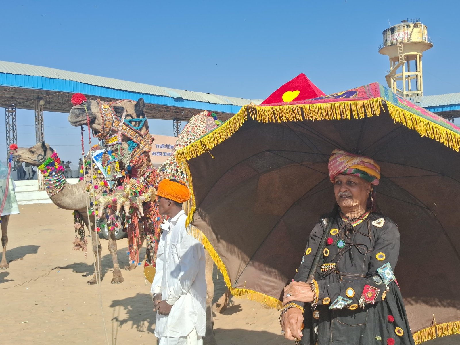 पुष्कर मेला में ऊँट परिवहन पर लगी पाबंदी हटाने से पश्चिमी राजस्थान के मरुक्षेत्रों से हजारों ऊँट मेले में पहुँच रहे