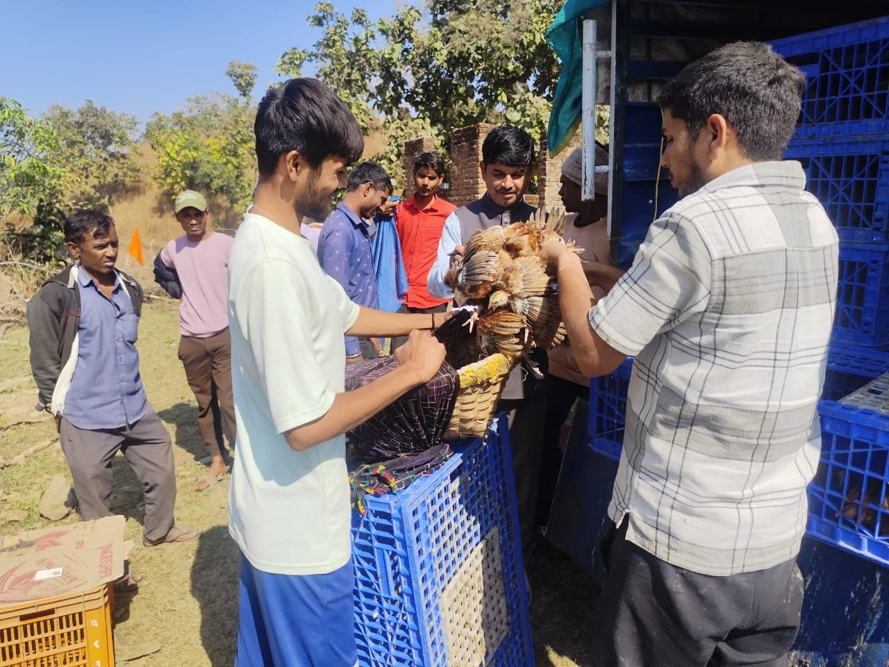 Tribal Farmers to Gain Additional Income Through Poultry Farming and Mushroom Cultivation: Dr. Meena