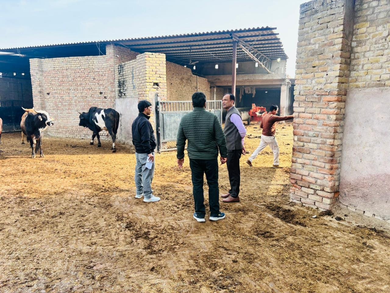 आयुक्त रविन्द्र सिंह यादव ने किया नंदीशाला, पदमपुर रोड़ गौशाला व सुखाड़िया सर्किल गौशाला का आकस्मिक निरीक्षण।