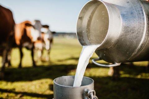 ####Hindustan Zinc’s Samadhan generates Diversified Farm Income of over ₹192 Cr for 1.4 Lakh Farmers