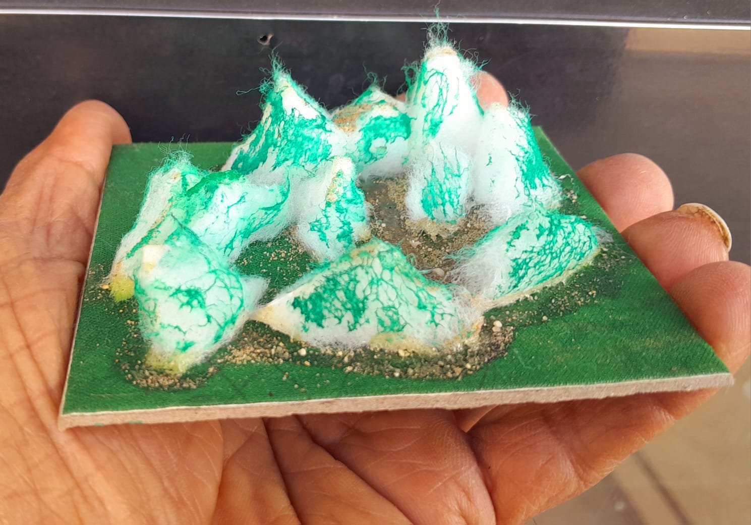 ‘Save Aravalli’ Message Through Miniature Art