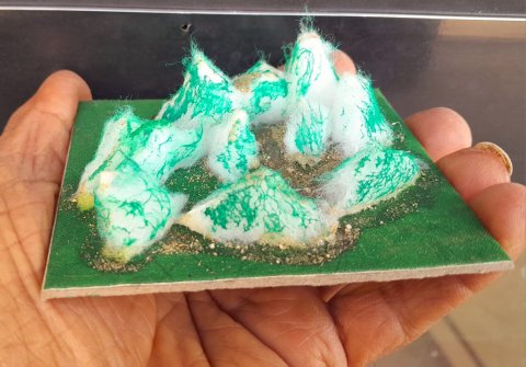 ‘Save Aravalli’ Message Through Miniature Art