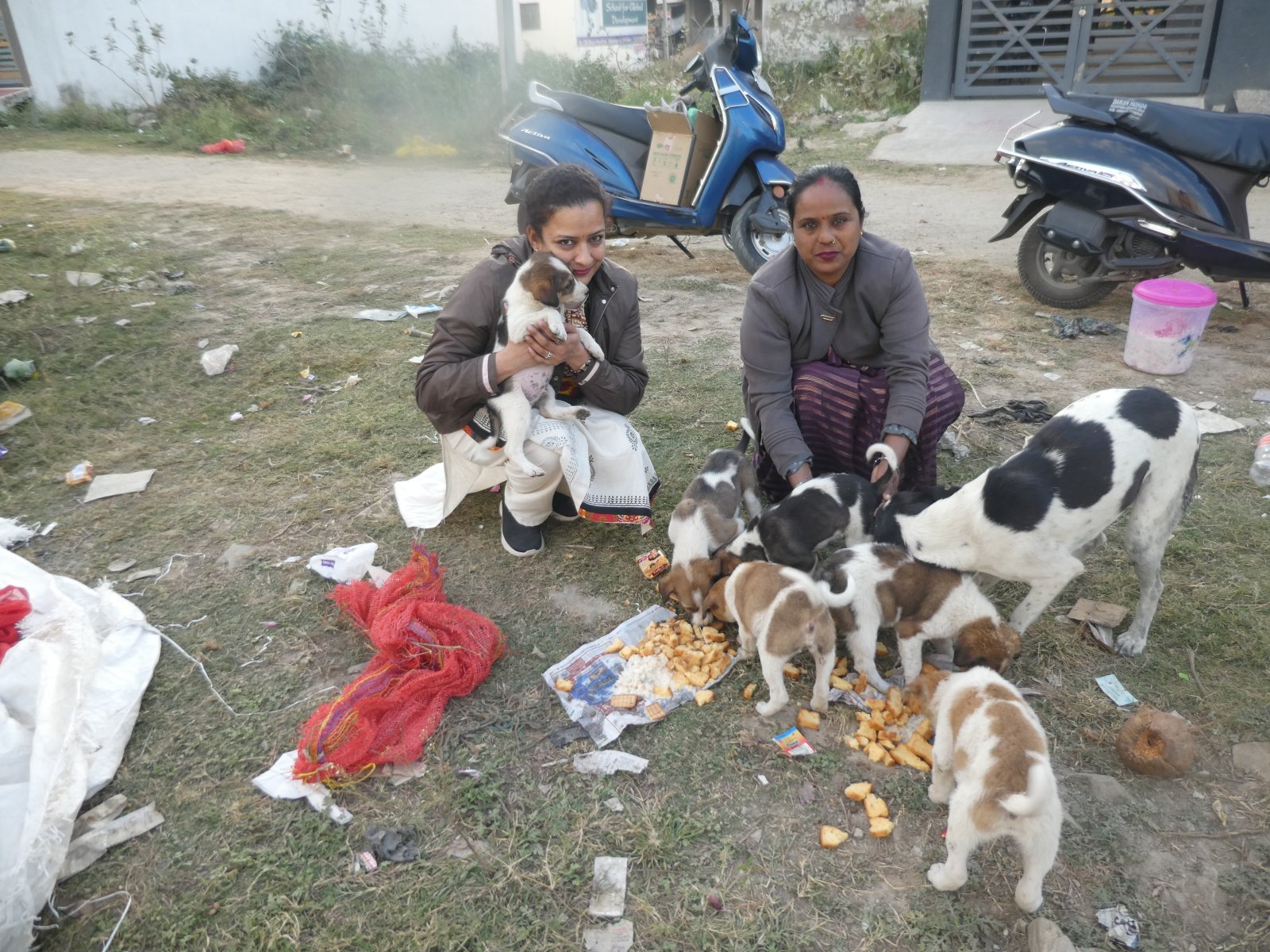 एनिमल प्रोटेक्शन सोसाइटी, उदयपुर ने पशुओं के साथ मनाया नववर्ष, कराया सामूहिक भोजन