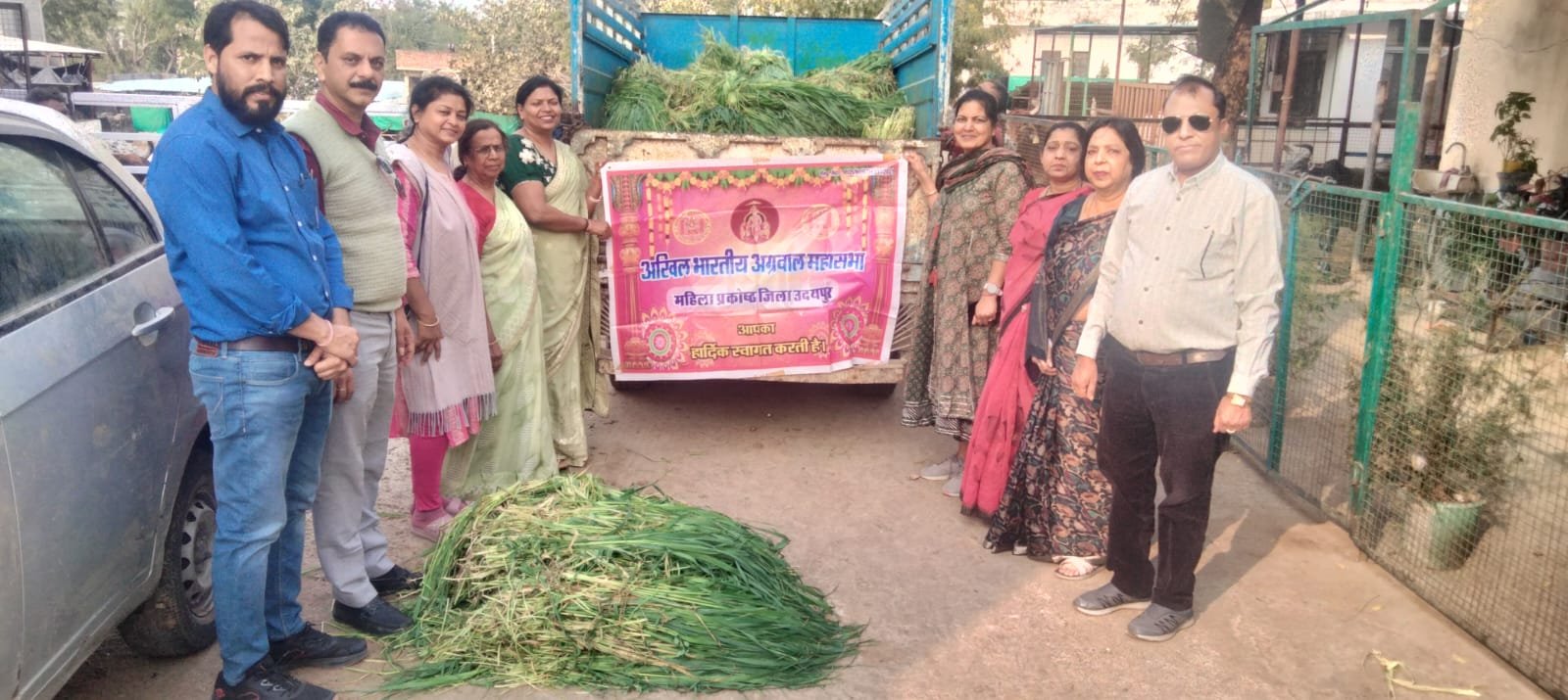 गौ शाला में गायों को हरा चारा खिलाया
