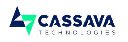 Cassava Technologies announces National Sovereign Cloud to support secure digital infrastructure for African governments