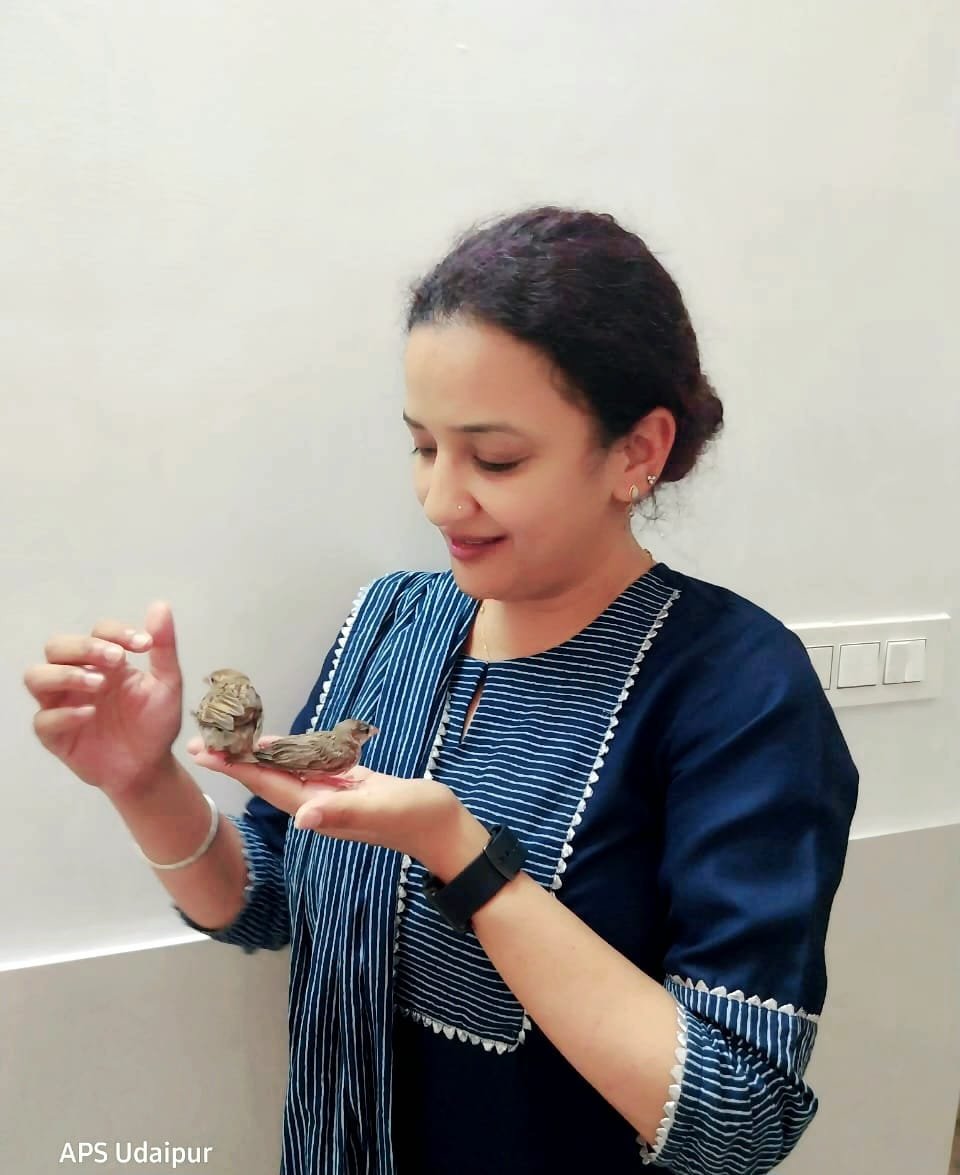 World Sparrow Day: Animal Protection Society Leads Conservation Drive in Udaipur