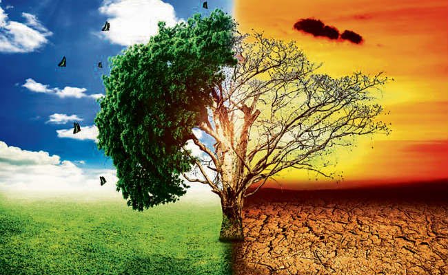 Rising Temperatures and the Collapse of Natural Balance