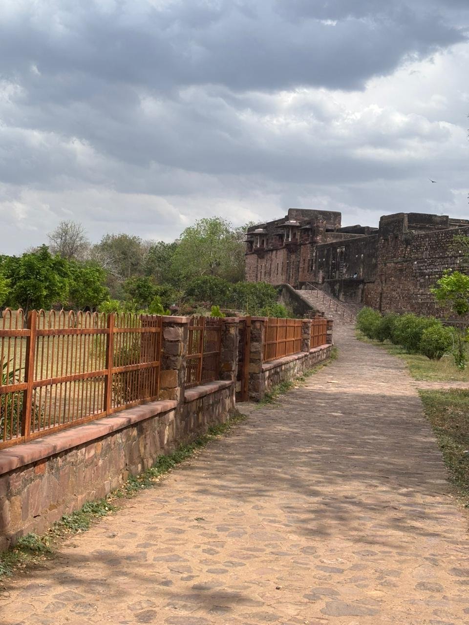 त्वरित टिप्पणी : देश का पहला जौहर: चित्तौड़गढ़ में नहीं, रणथंभोर में हुआ था