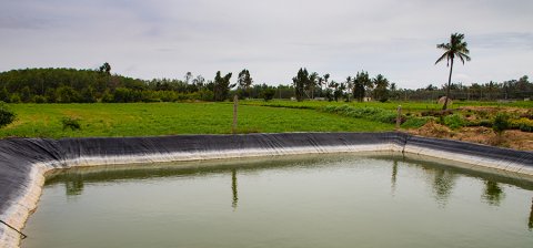 गिरता भूजल स्तर – अब जागरूकता ही समाधान