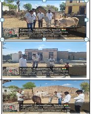 मुख्यमंत्री भजनलाल शर्मा के निर्देश पर विशेष अभियान