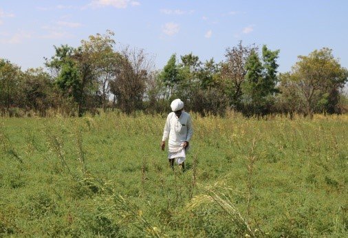 Hukmi Chand Gadri Receives ‘Best Farmer Award’ at ICAR-CRIDA’s 42nd Foundation Day