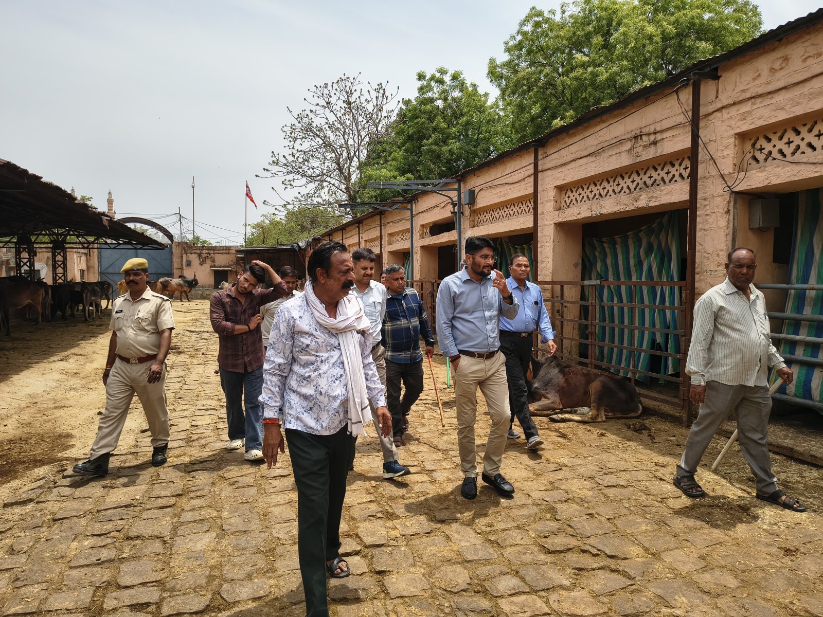 निगम आयुक्त ओम प्रकाश मेहरा ने कायन हाउस में गौवंश के लिए बेहतर व्यवस्थाओं के दिए निर्देश,अचानक किया था निरीक्षण 