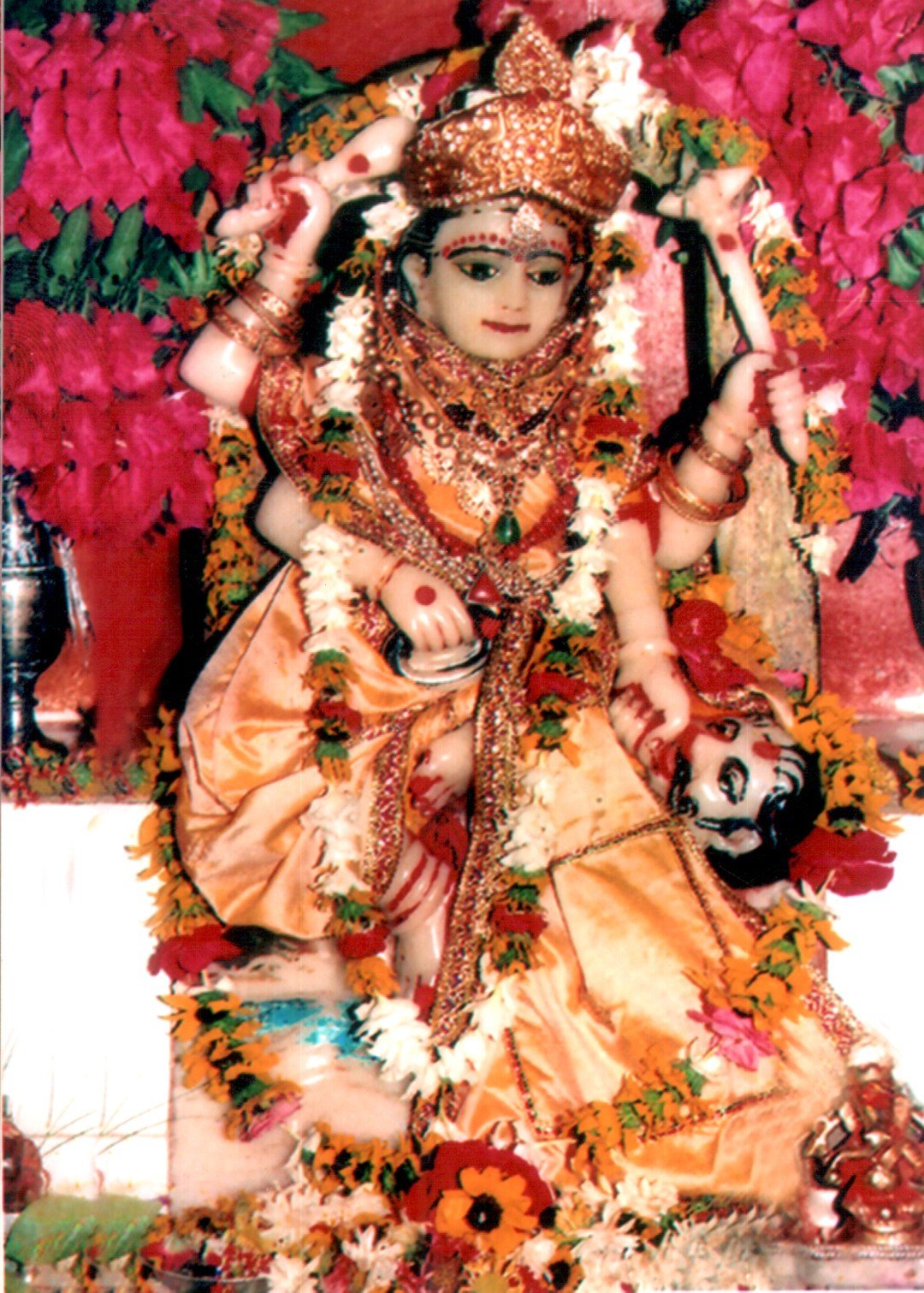 श्री पीताम्बरा आश्रम में शुक्रवार को बगलामुखी जयन्ती समारोह
