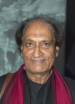 रघु राय का देहावसान :भारतीय दृश्य-संवेदना के एक सशक्त अध्याय का अवसान