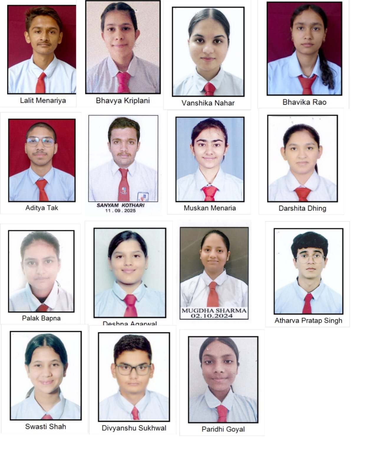 ###CPS Udaipur Students Shine in CBSE Grade XII Results