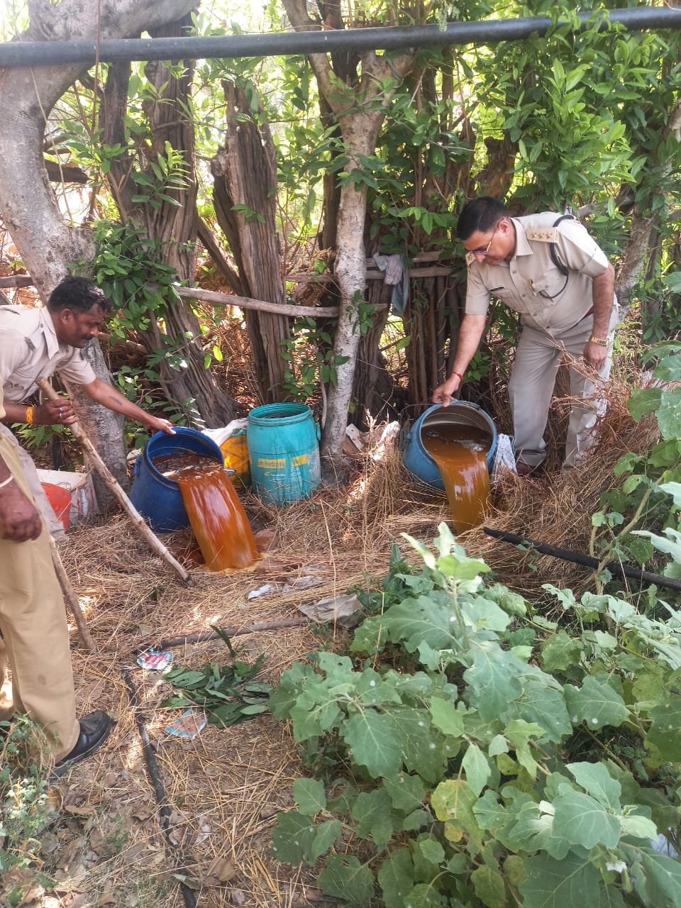 अवैध शराब के विरूद्ध प्रभावी अभियान
