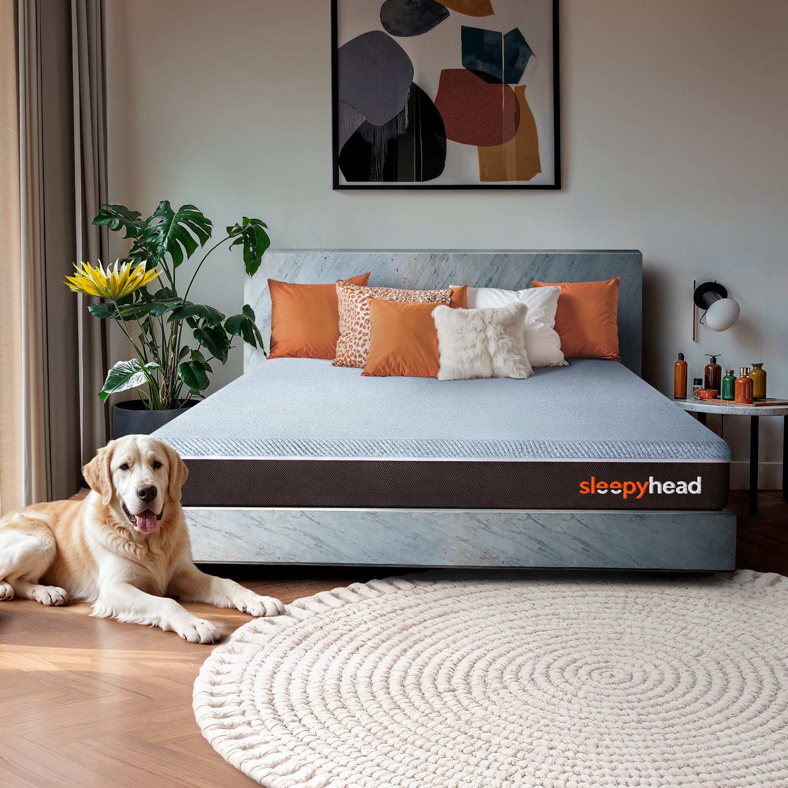 Top 5 Comfort Essentials That Instantly Elevate Your Home