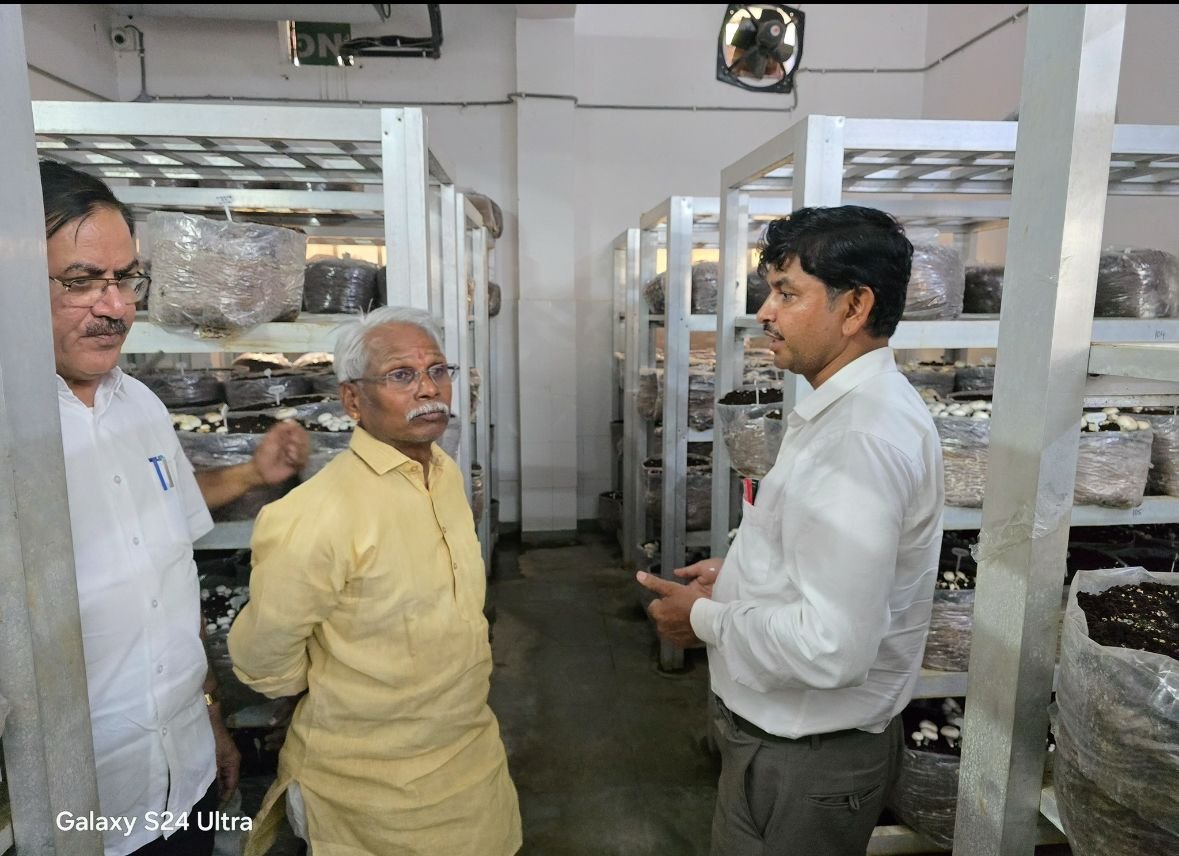 महाराणा प्रताप कृषि एवं प्रौद्योगिकी विश्वविद्यालय, उदयपुर में केबिनेट मंत्री माननीय श्री बाबूलाल जी खराड़ी साहब द्वारा मशरूम प्रयोगशाला का दौरा