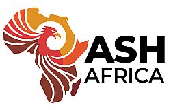 Africa Skills Hub (ASH) Transitions to ASH Africa as it Marks 10 Years of Impact