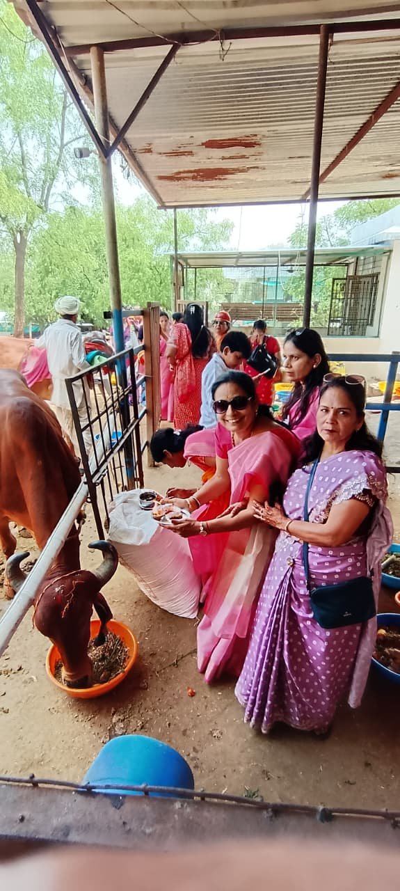 गौसेवा का बढ़ता कारवां रू पशुपतिनाथ गौशाला में संपन्न हुआ दसवां छप्पन भोग महोत्सव,
