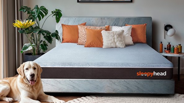 Top 5 Comfort Essentials That Instantly Elevate Your Home