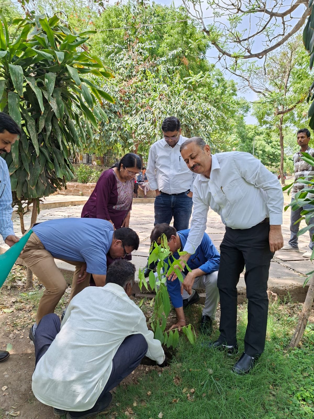विश्व पर्यावरण दिवस पर आरएनटी मेडिकल कॉलेज में वृक्षारोपण