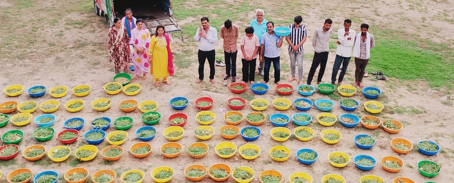 108 गौशालाओं की ऐतिहासिक छप्पन भोग सेवा श्रृंखला का 13वां पड़ाव भव्य रूप से संपन्न