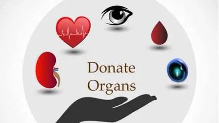 A Culture of Organ Donation Can Give Humanity a New Direction