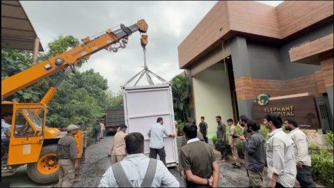 बाढ़ में घायल हथिनी ‘जॉयमोती’ को एयरलिफ्ट कर वनतारा लाया गया