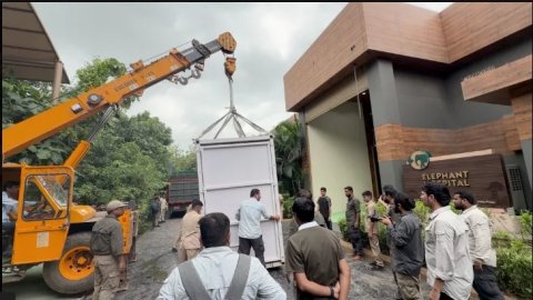 Flood-Rescued Elephant Joymoti Airlifted to Vantara For Specialised Hospital Care