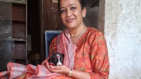 पशु-पक्षियों के साथ एनिमल प्रोटेक्शन सोसायटी ने मनाया रक्षाबंधन