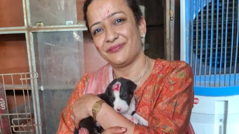 पशु-पक्षियों के साथ एनिमल प्रोटेक्शन सोसायटी ने मनाया रक्षाबंधन