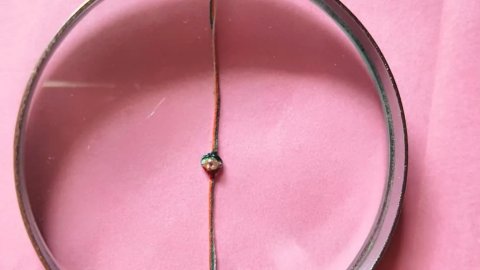 Udaipur Craftsman Creates World’s First ‘Karishma-e-Tirangi Rakhi’ in Gold and Diamond