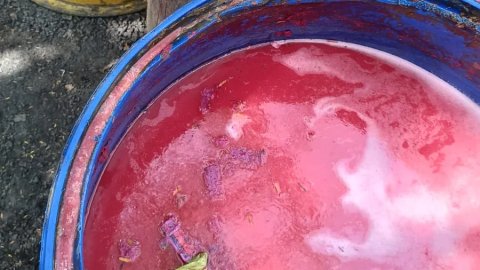 आबकारी आयुक्त के निर्देशन में अवैध मदिरा पर कार्रवाई जारी, वाॅश एवं भट्टियां नष्ट