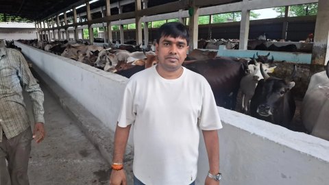 There is no greater virtue than serving the cow - Sanjay Bhushan