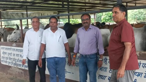 Goga Navami Celebrations Mark Birth Anniversary of Gaurakshak Gatod Ji Chauhan