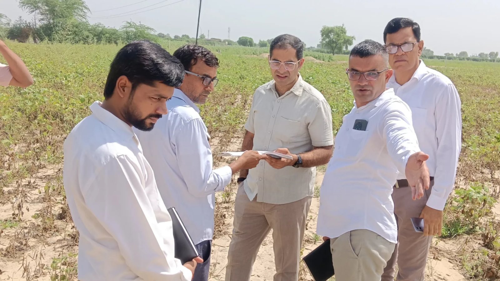 District Collector Reviews Crop Cutting Process in Ganganagar