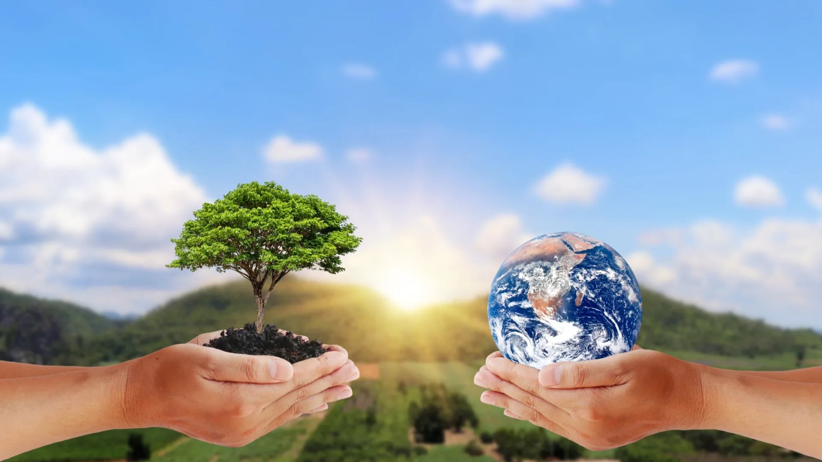 Healthy Earth, Healthy Humanity: The New Global Imperative